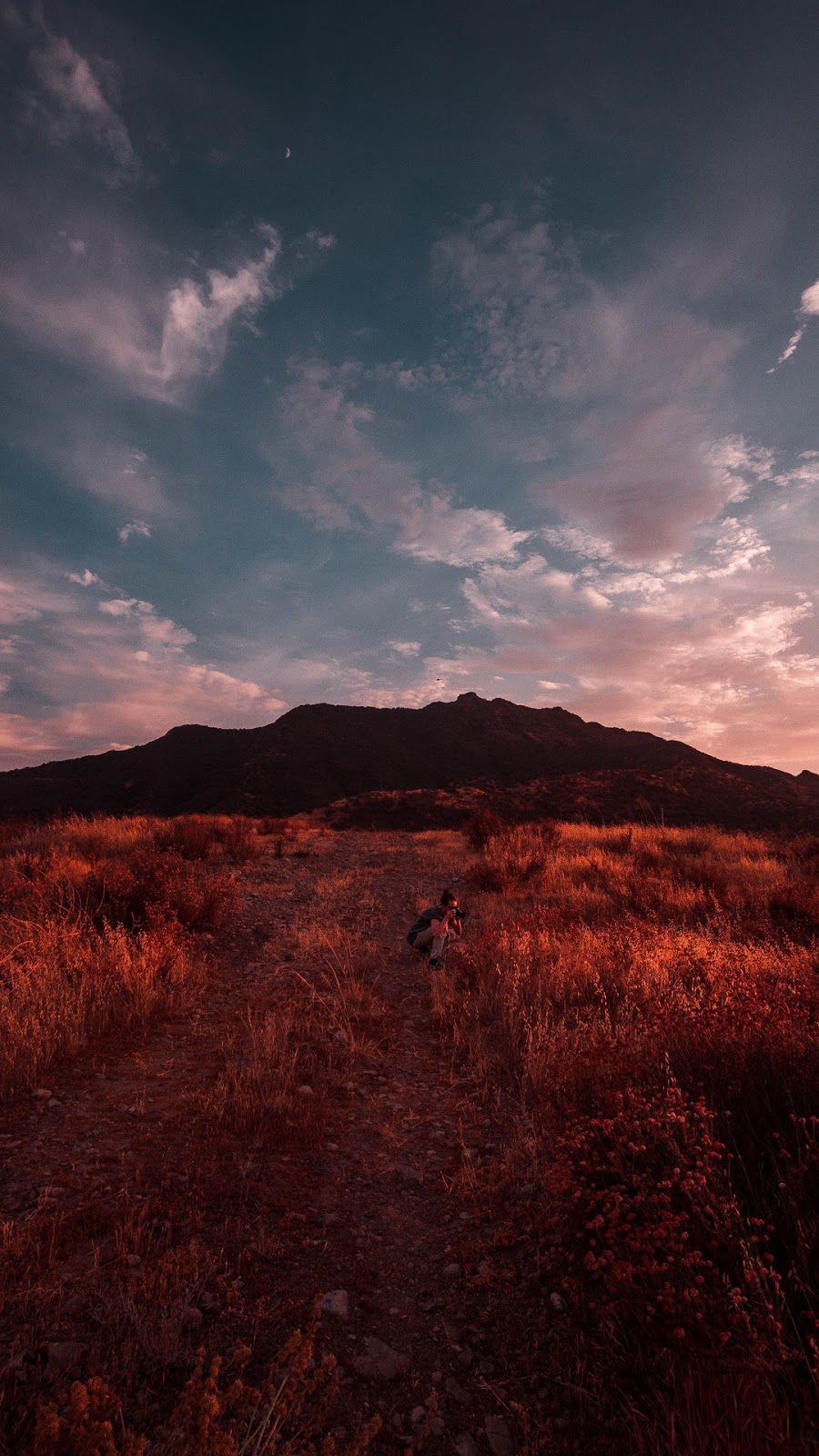 Wallpaper for iPhone 12 Pro and iPhone