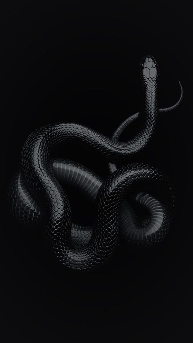 Phone Snake Wallpapers - Wallpaper Cave