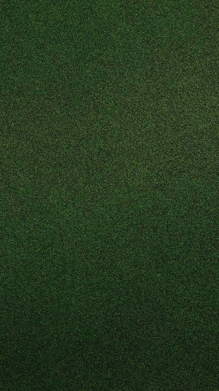 Olive Green iPhone. Wallpaper