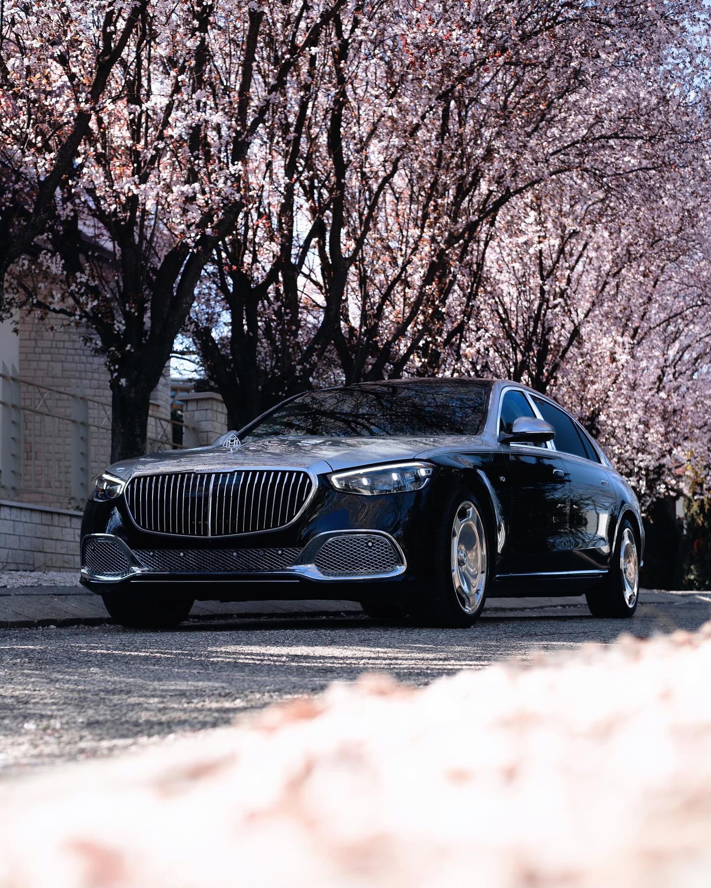 Mercedes Benz USAㅤ 'Tis