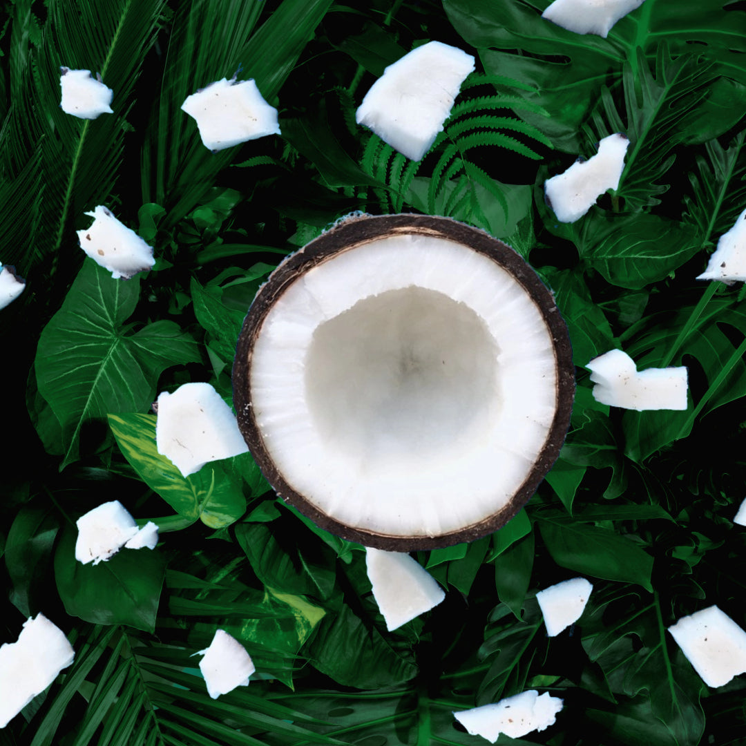 COCONUT OIL