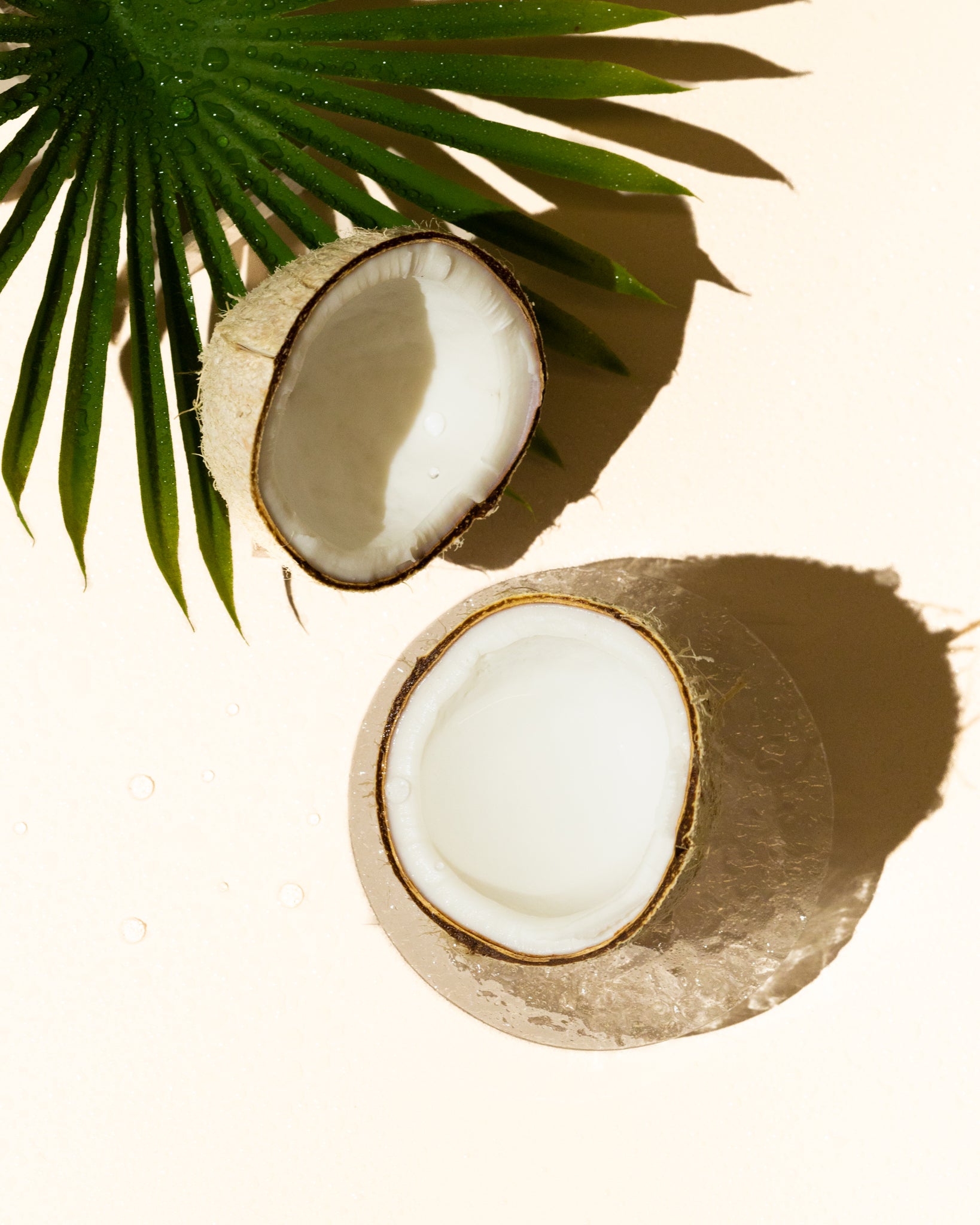 Fresh Coconut Accord. Perfumery