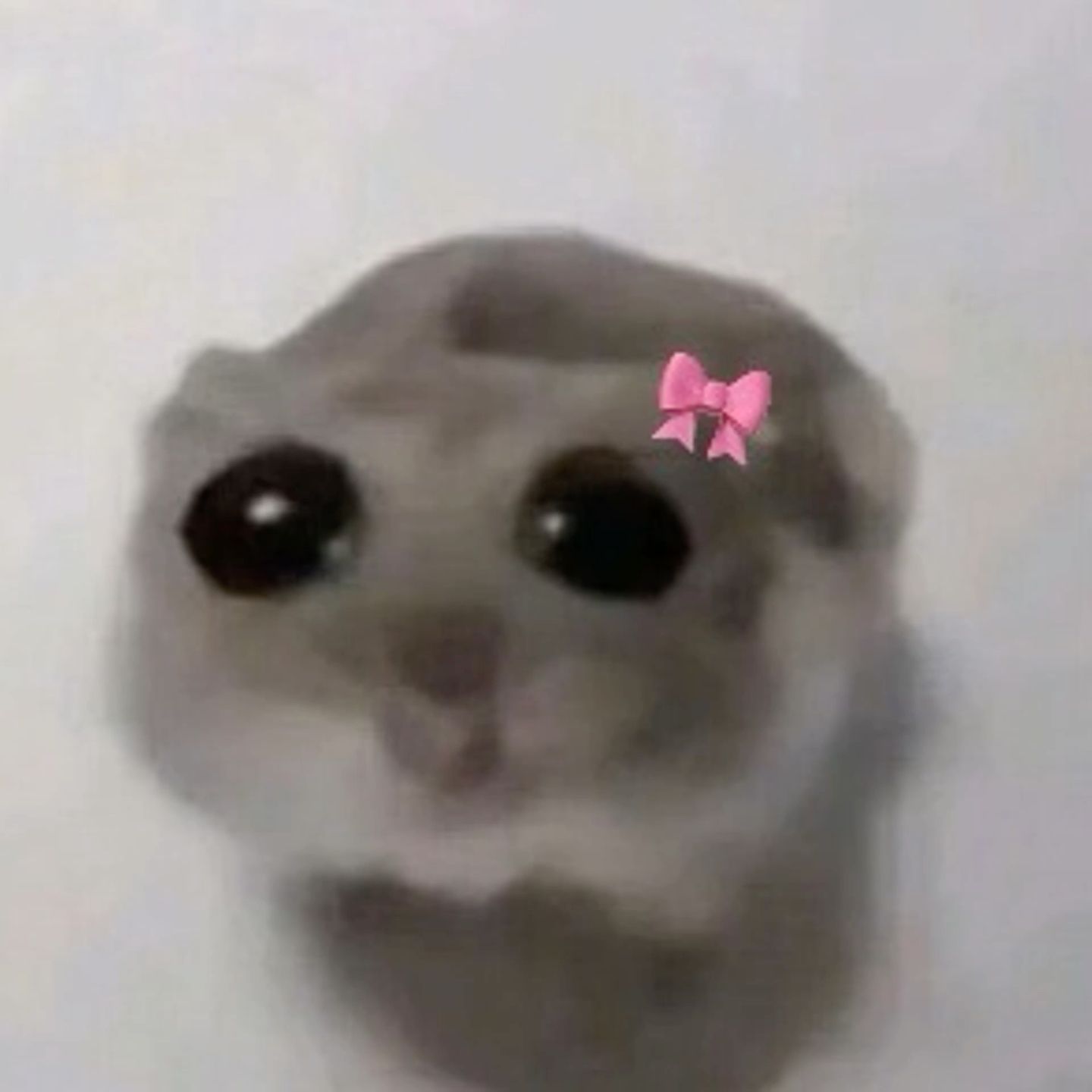 Sad Hamster Wallpapers - Wallpaper Cave