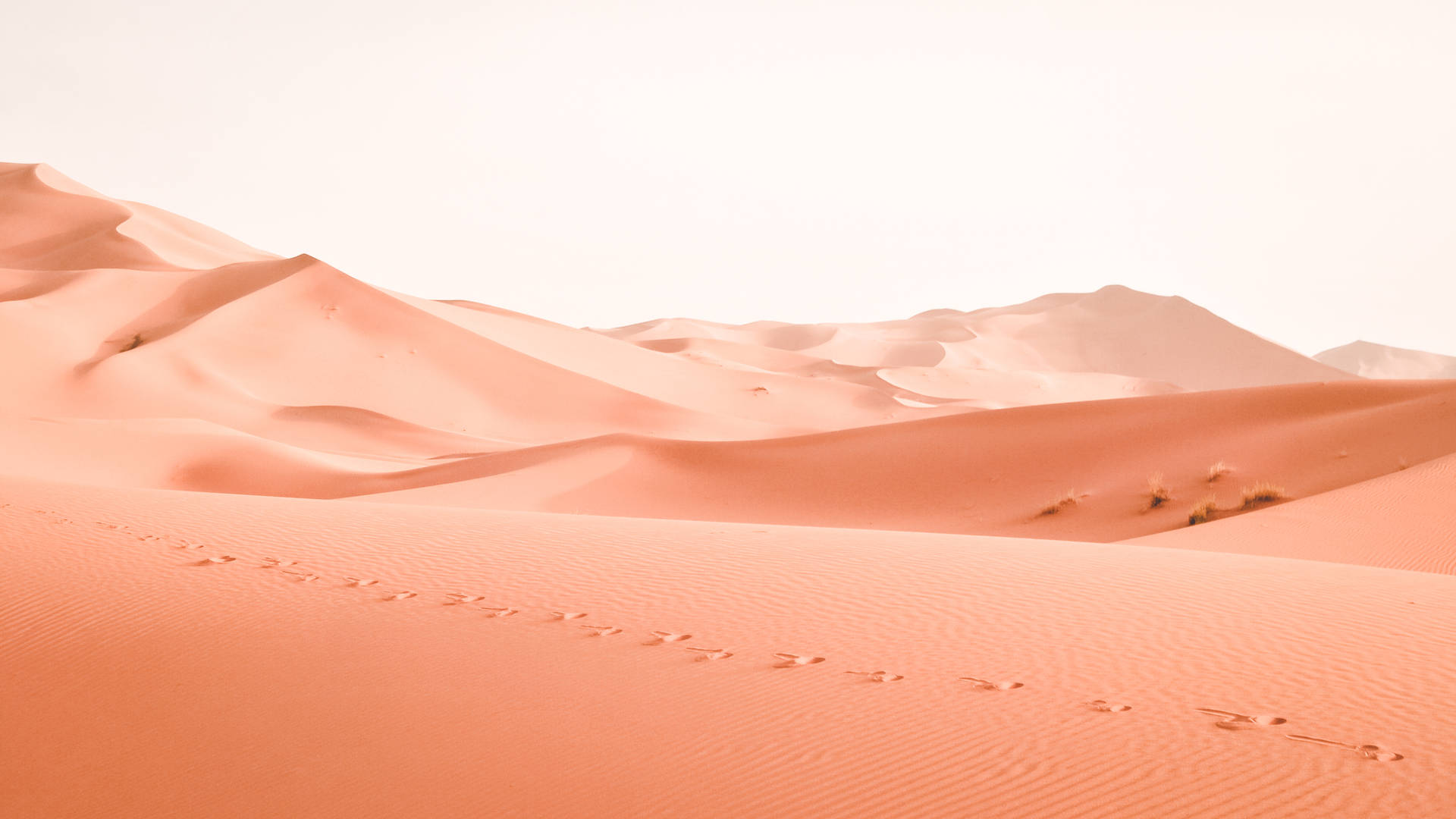Download free Minimalist Desert