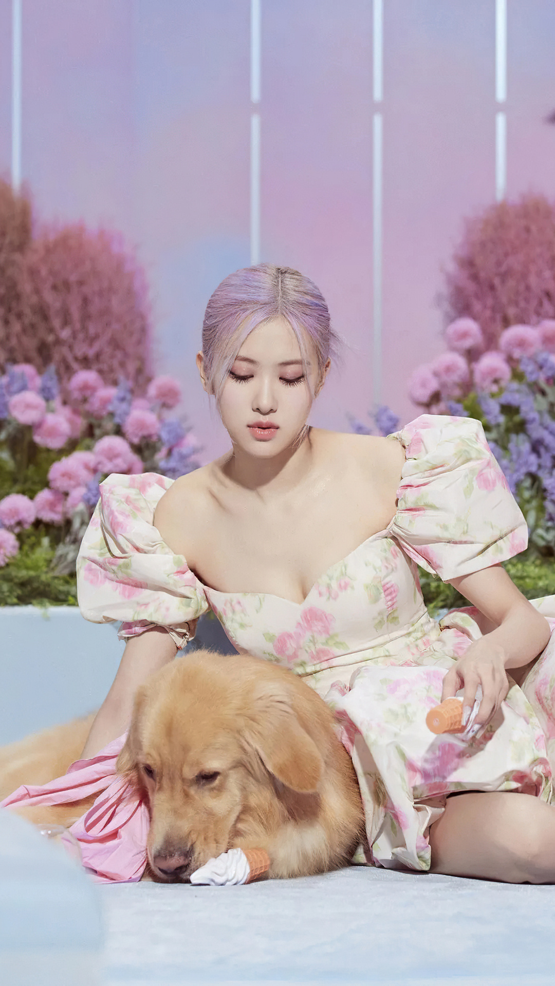 Blackpink Rose 4k iPhone 7, 6s