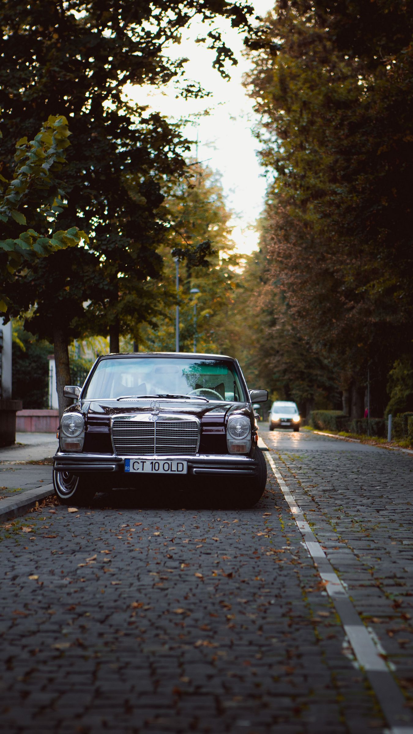 Download wallpaper 1350x2400 mercedes