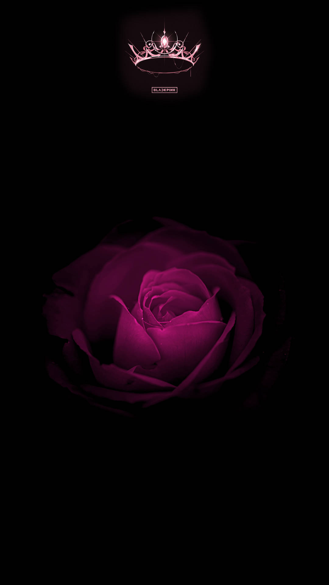 Free Rose Blackpink HD Wallpaper