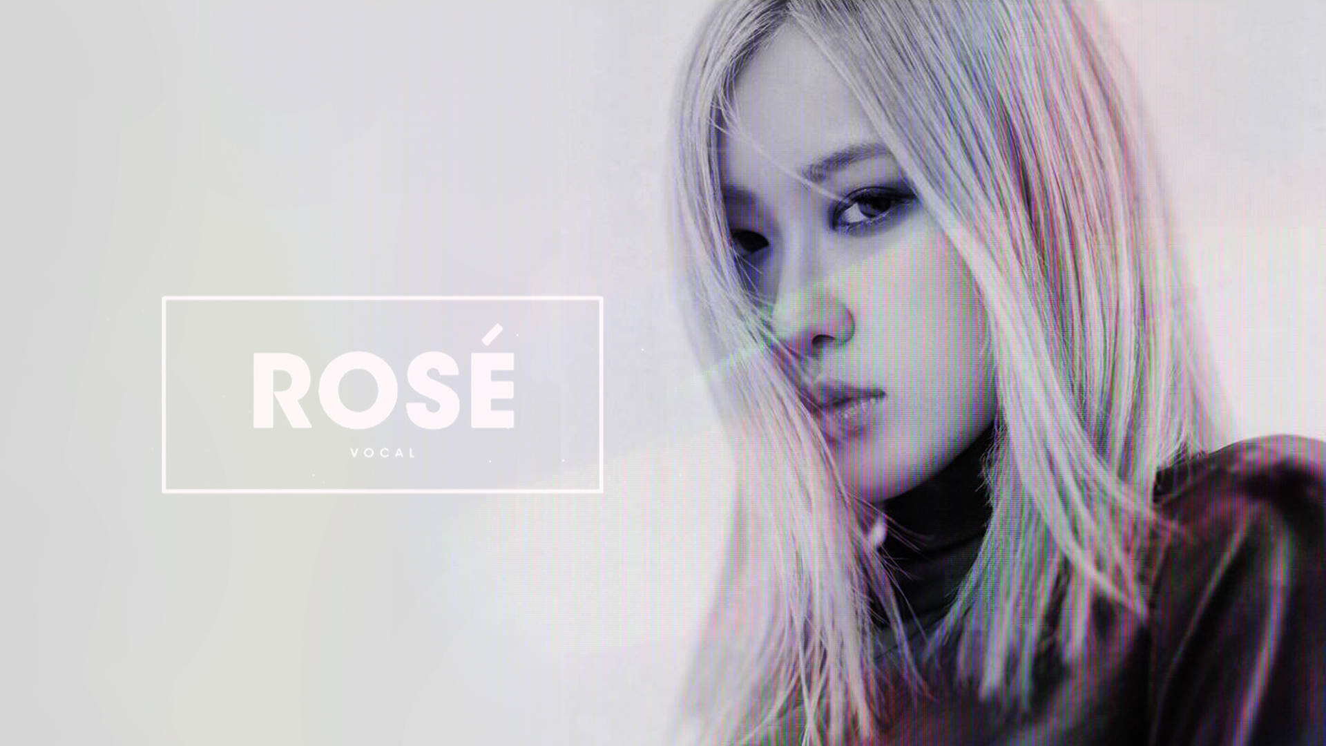 Rose Blackpink Background