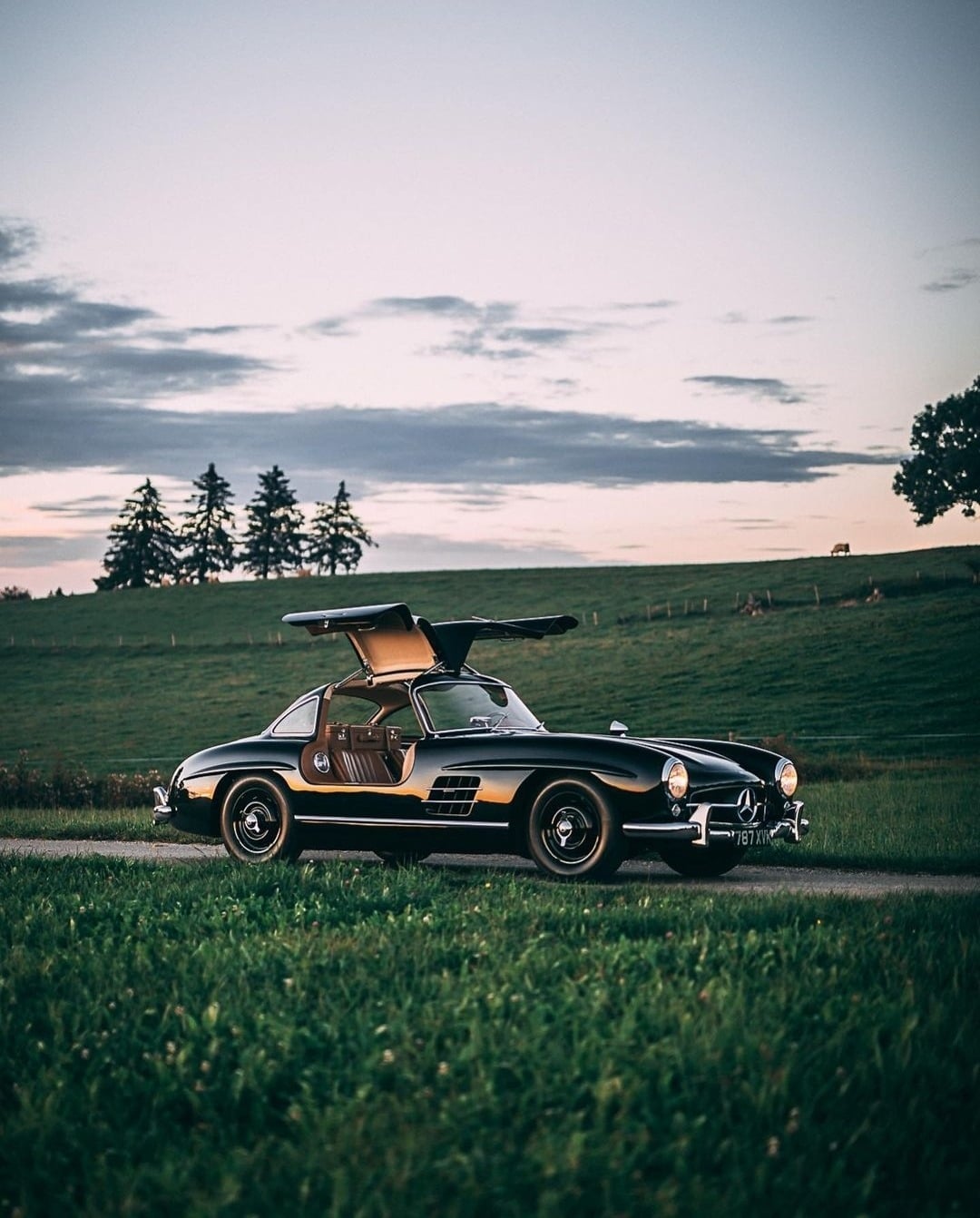 The Classic Mercedes Benz 300SL