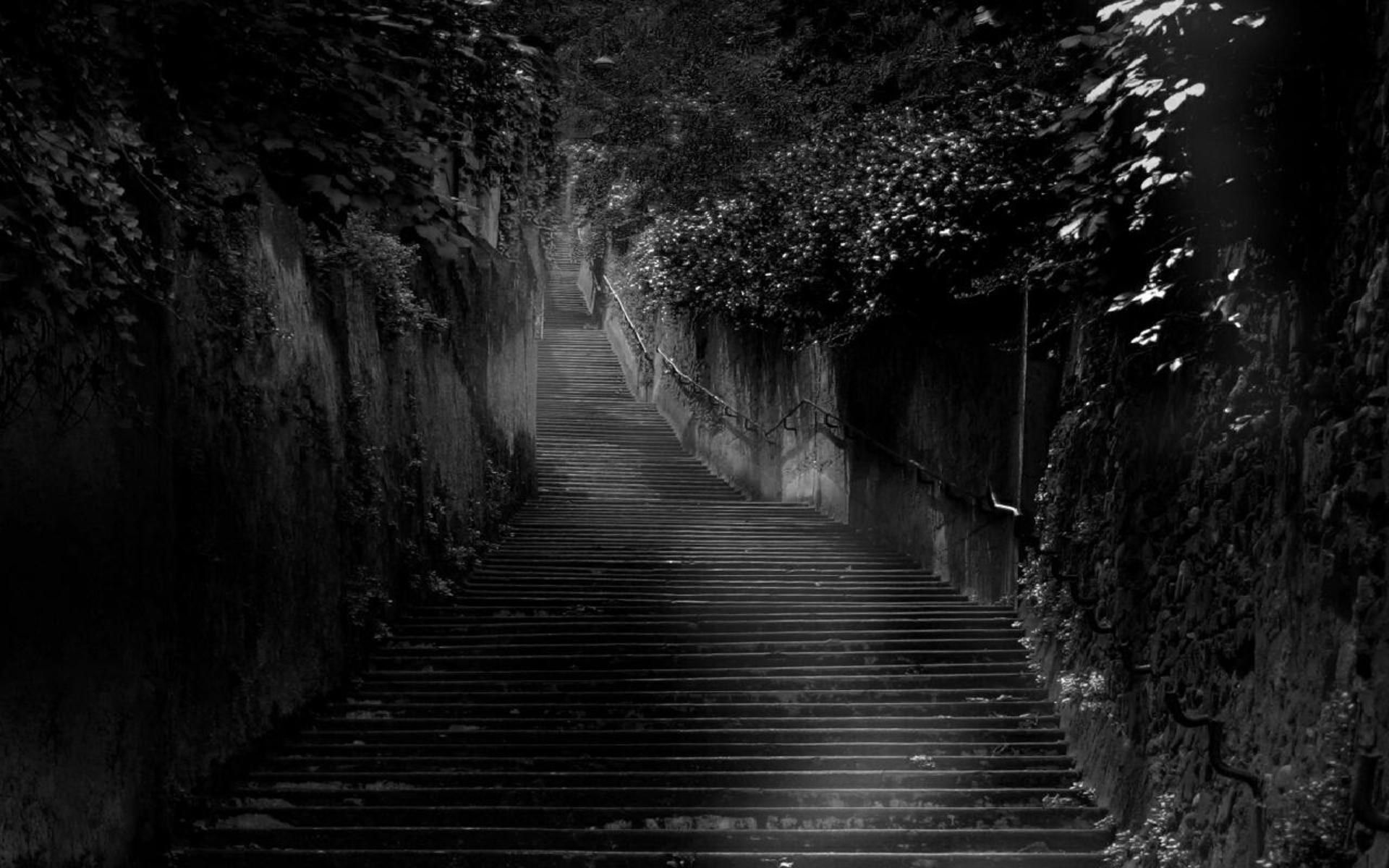 Dark wallpaper, Nature wallpaper, Black