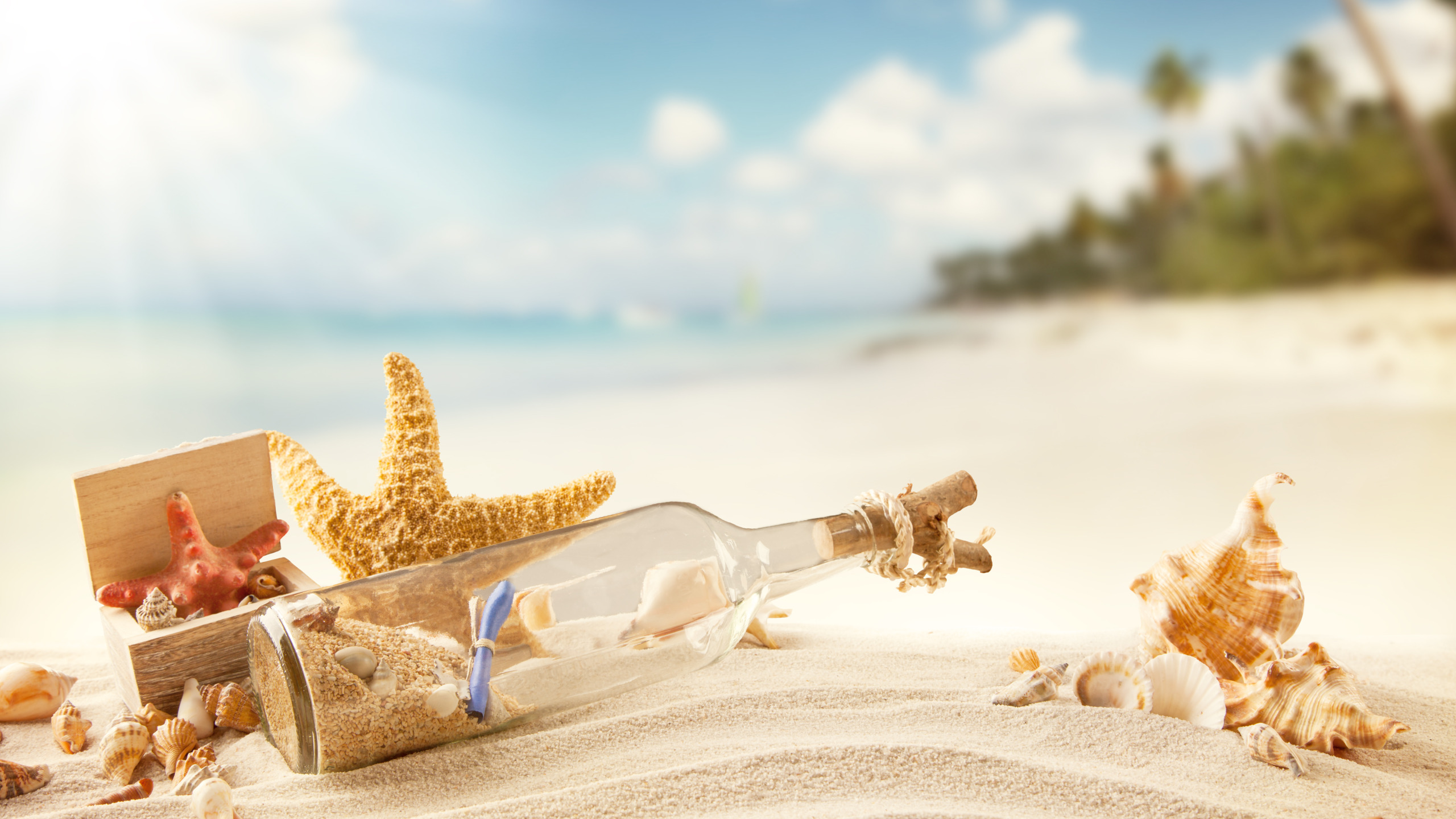 wallpaper sand, sea, beach, summer