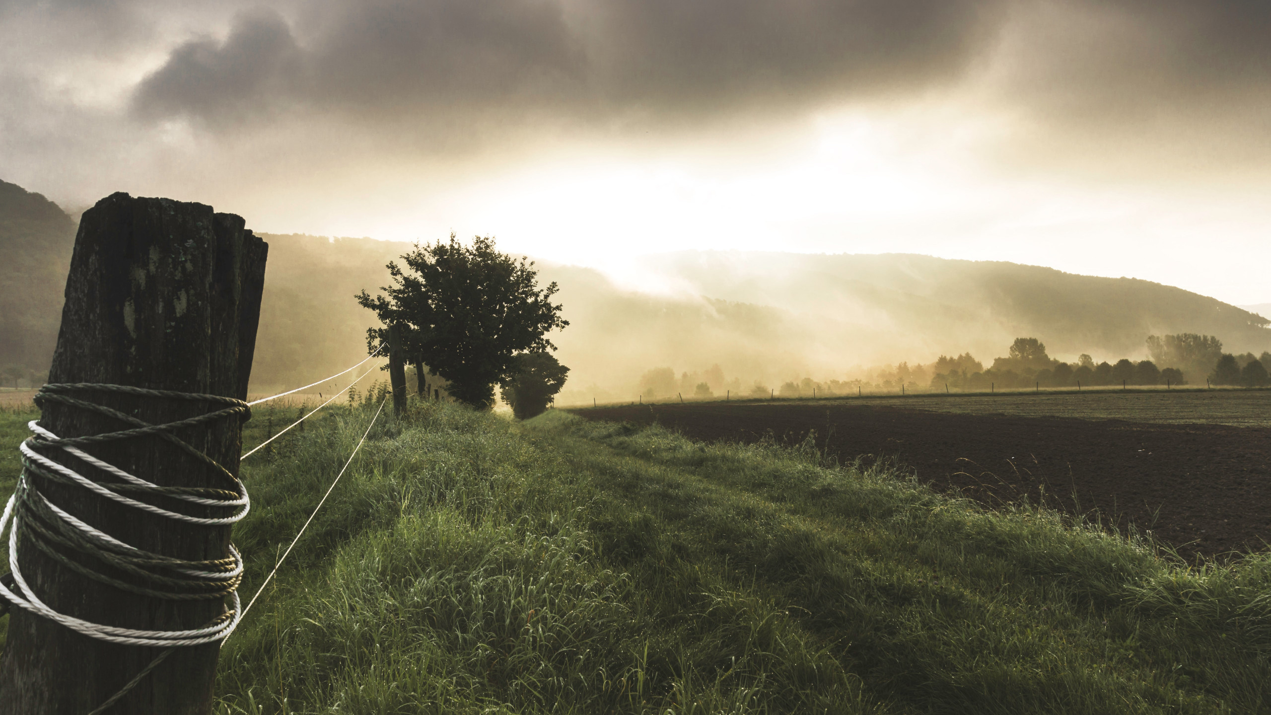 wallpaper: Foggy Summer landscape 2560x1440