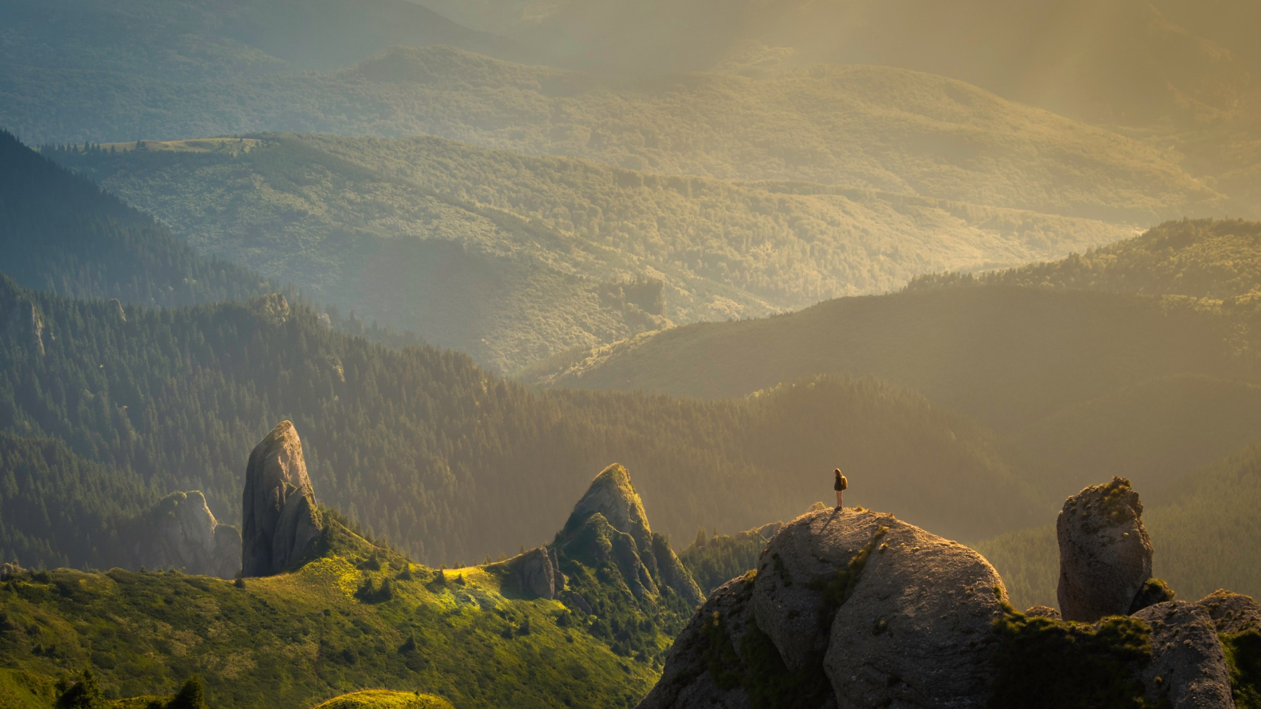 Inspirational Summer landscape 2560x1440
