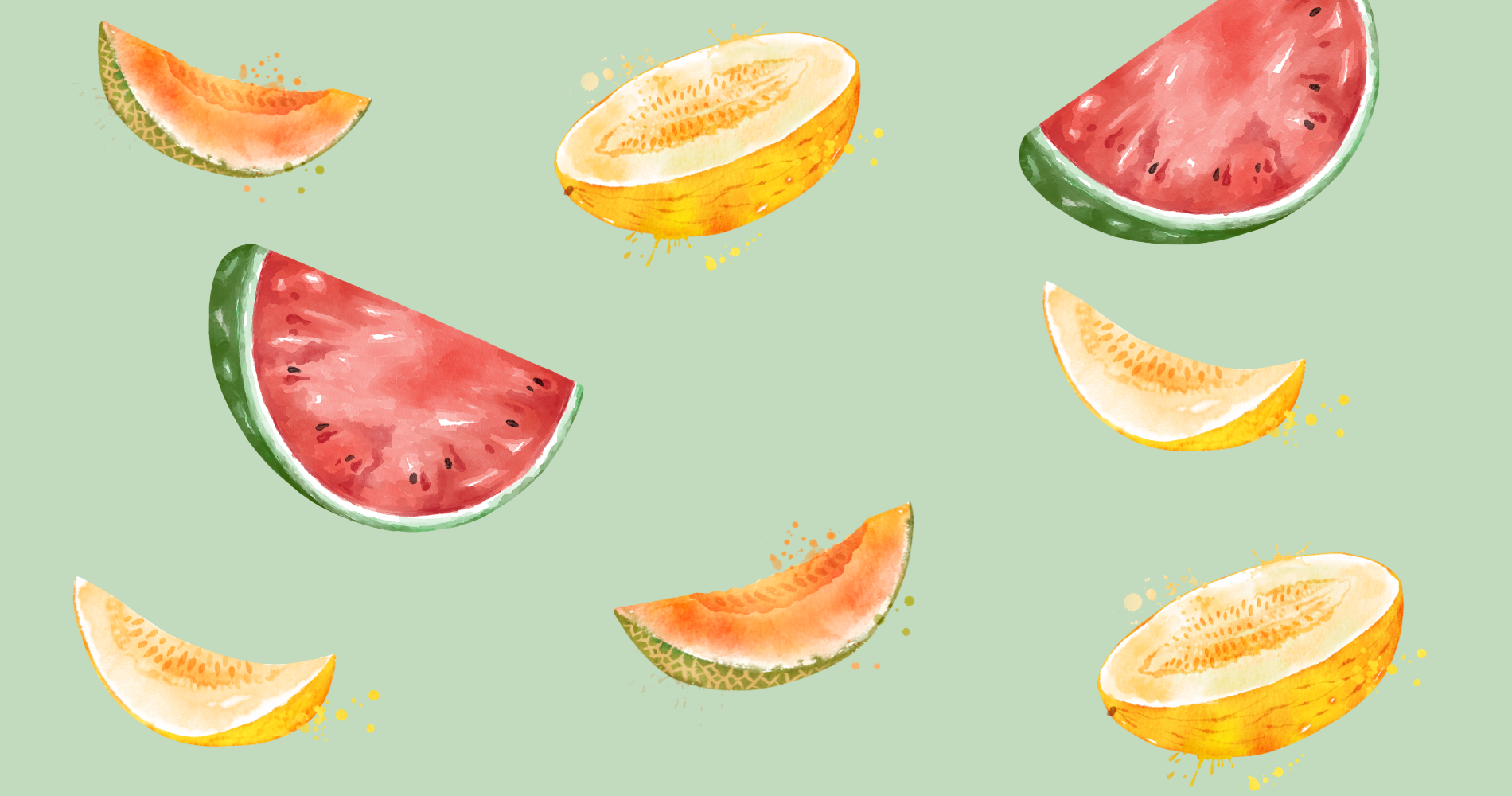 Summer Melons You Need To KnowP Foods