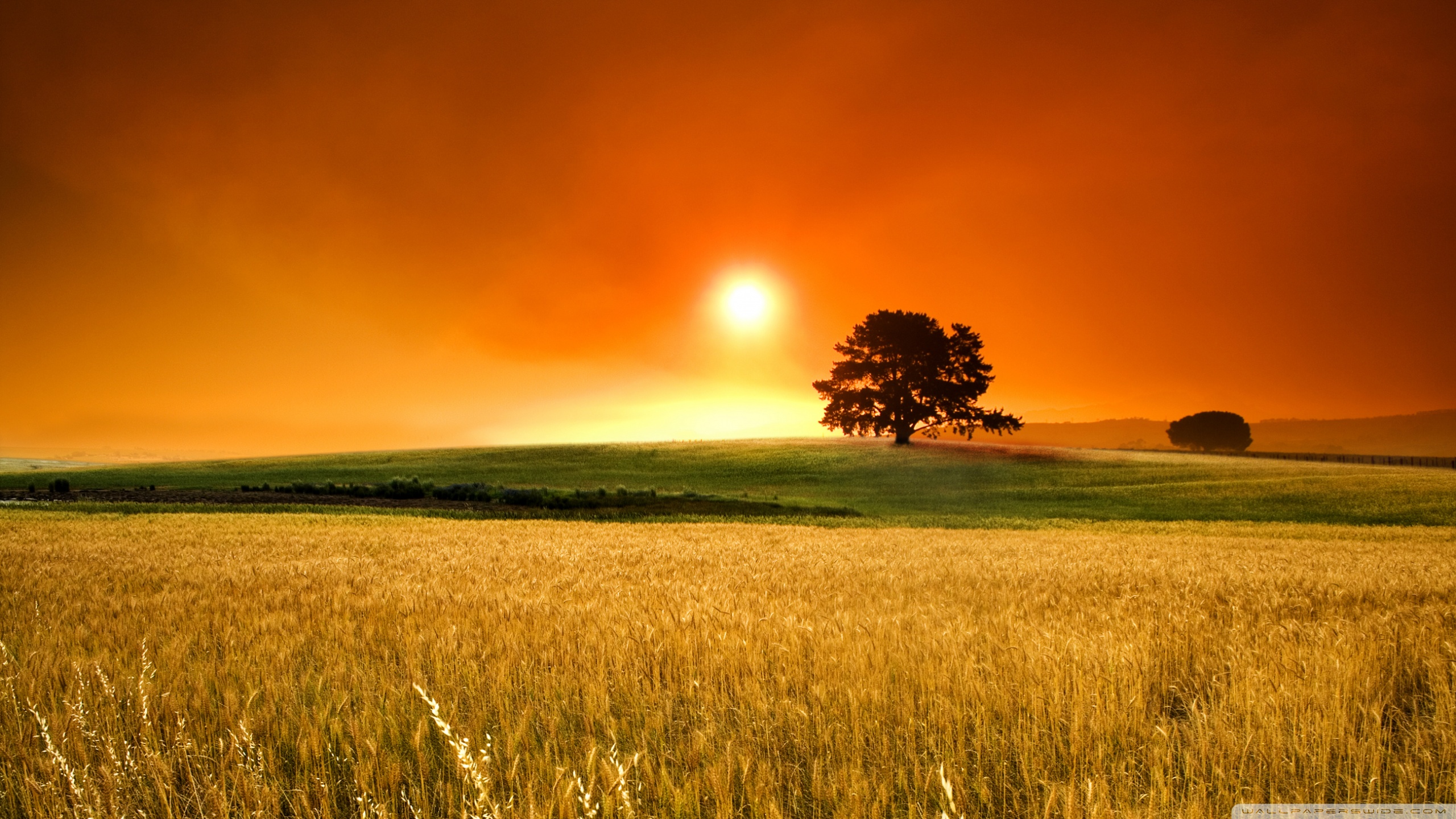 Desktop Background Wallpaper