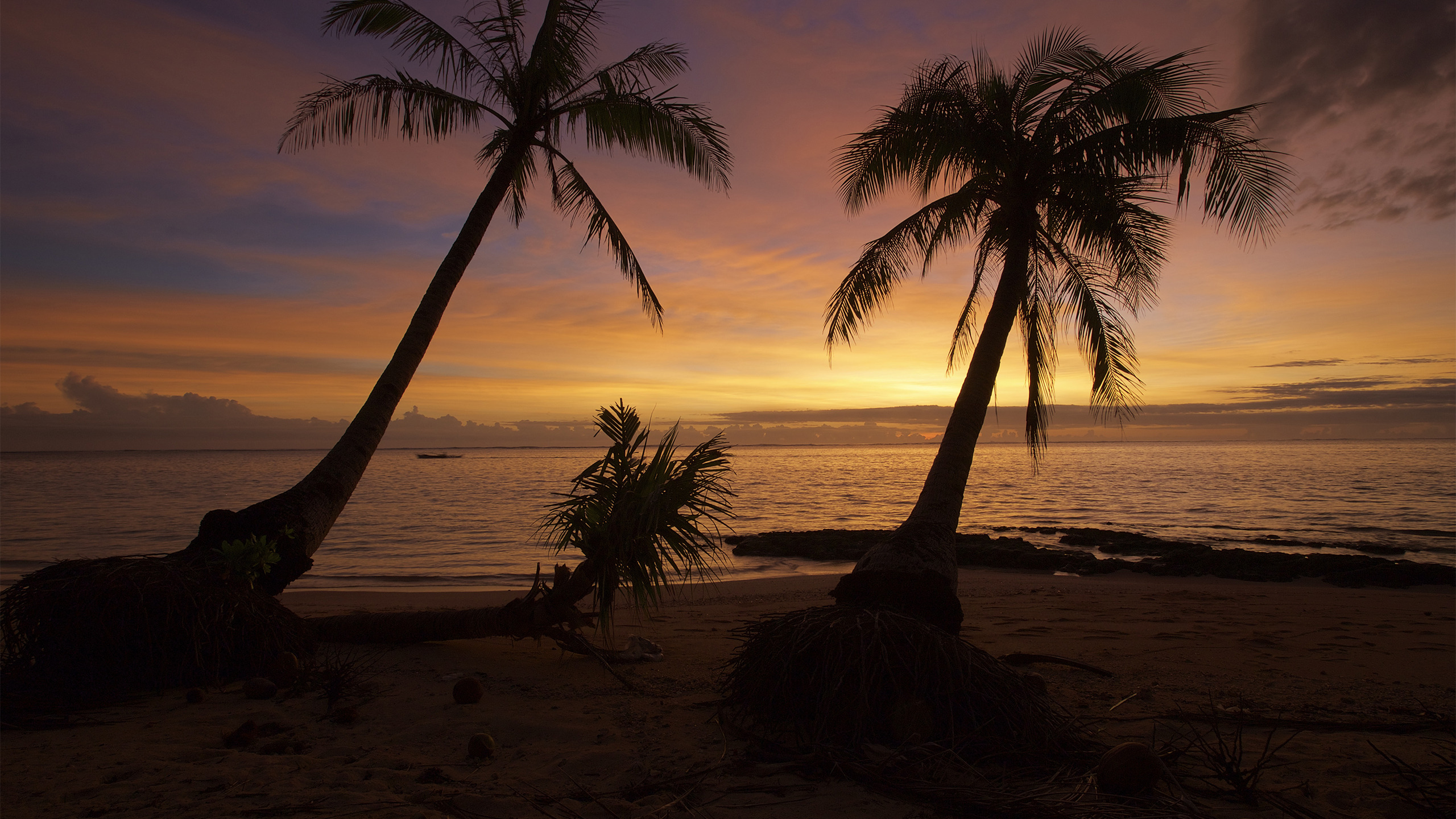 section landscapes in resolution 2560x1440