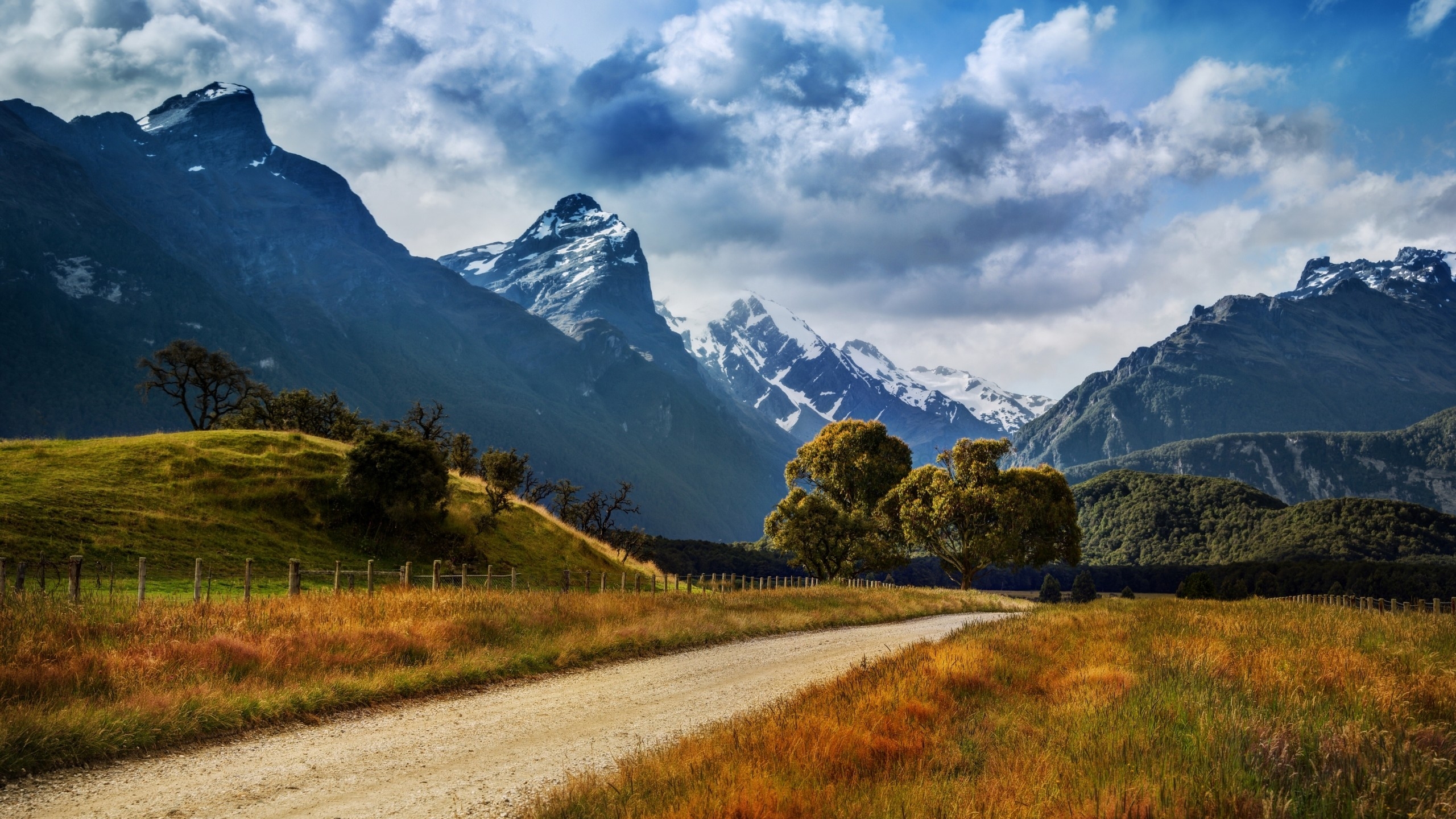 New Zealand Summer Landscape 2560x1440