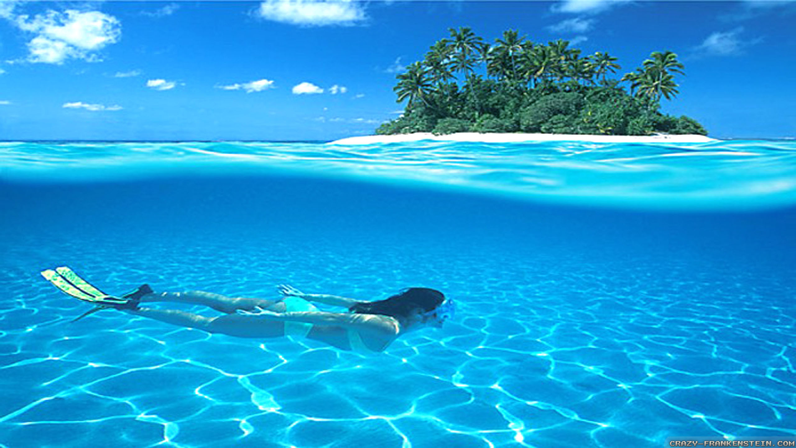 Beautiful Summer Picture Wallpaper