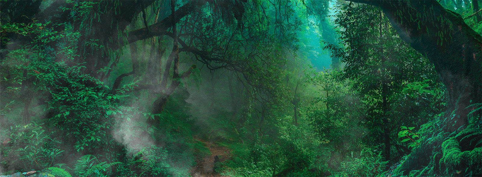 Enchanted Forest Green Mural Wallpaper: Mystical Path Through Lush Wilderness