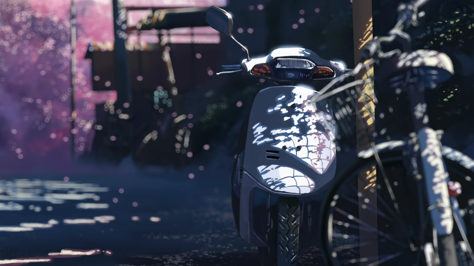 HD Wallpaper