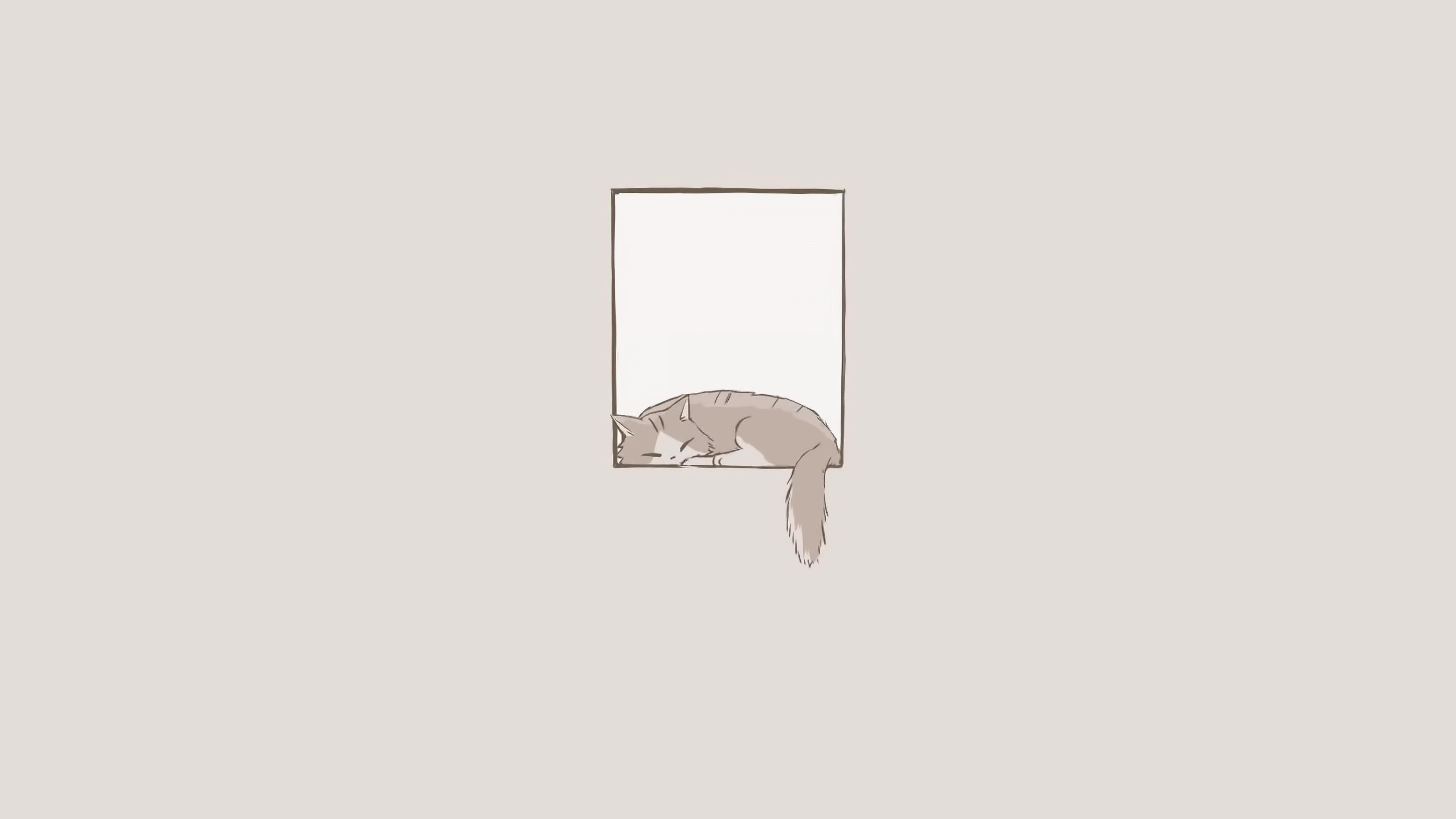 Minimalist Cat Window Sleeping 4k