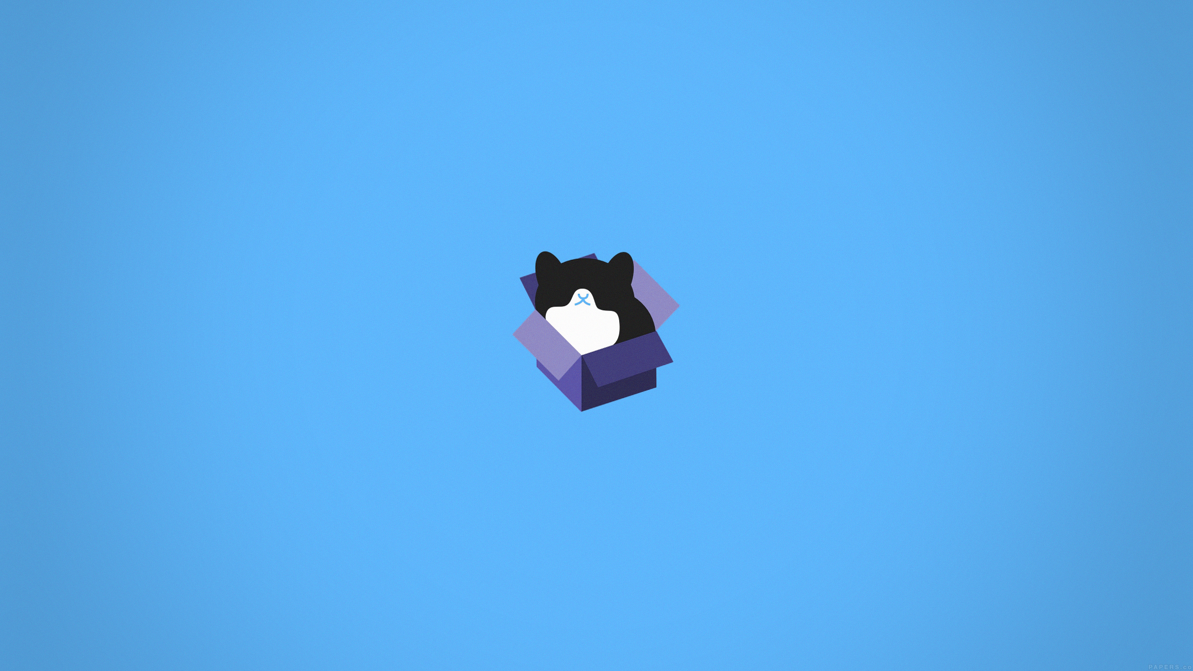 Cat Box Blue Illust Animal Art Minimal