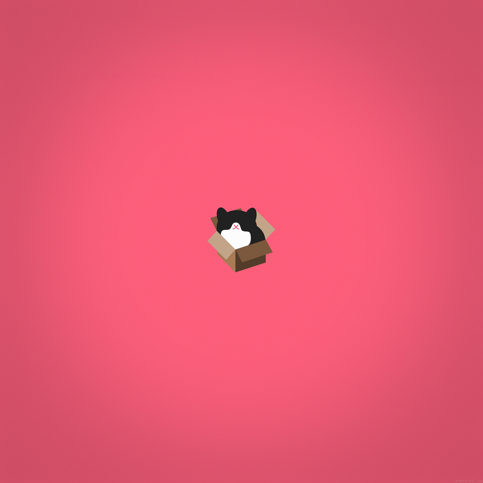 Cat Box Red Illust Animal Art Minimal