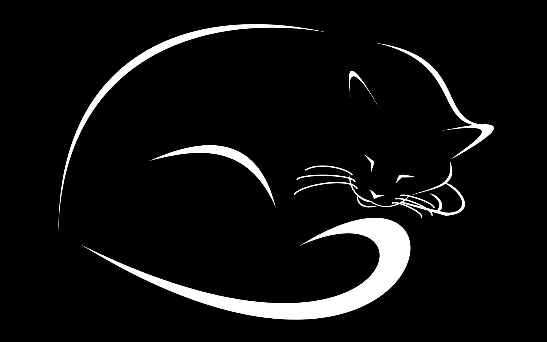 Minimalist Cat Animal Artistic HD Wallpaper