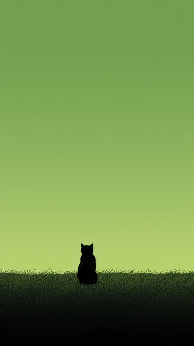 iPhone Wallpaper Cat Image. Free
