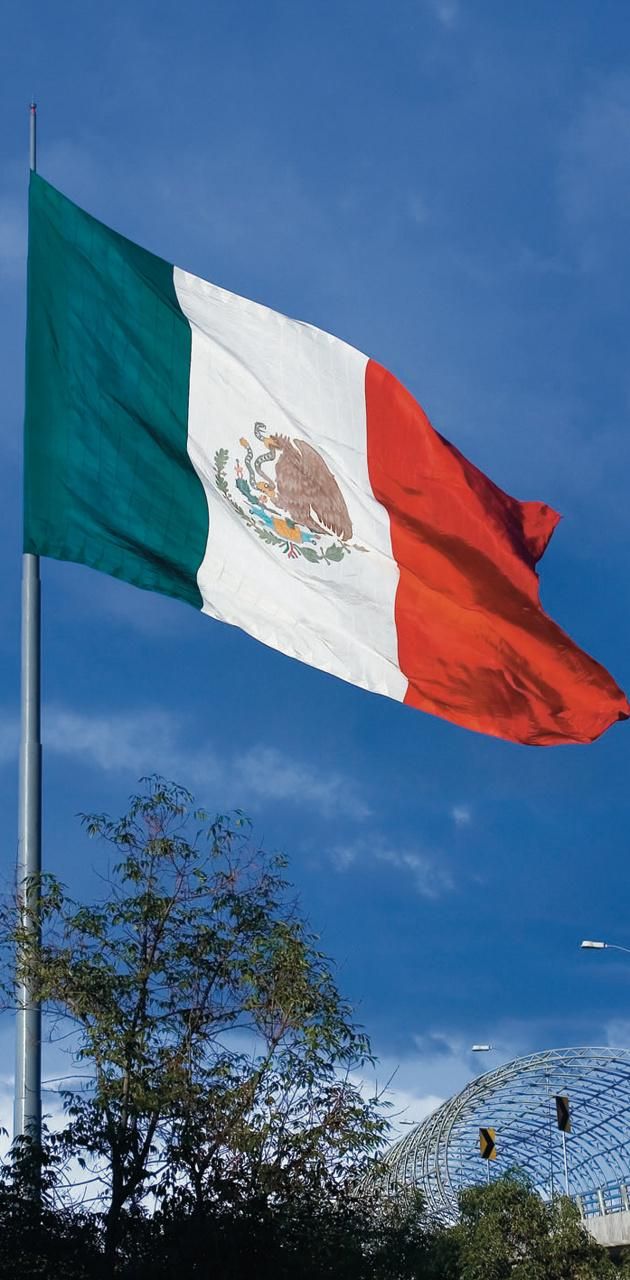 Mexico Flag wallpaper