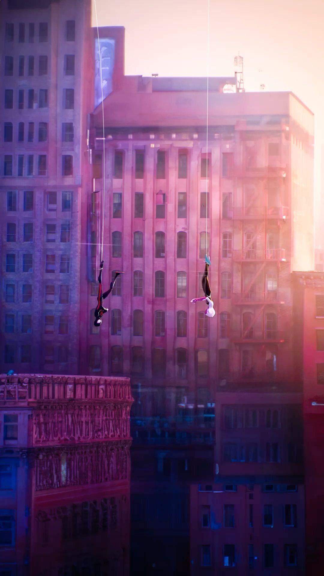 Miles and Gwen wallpaper