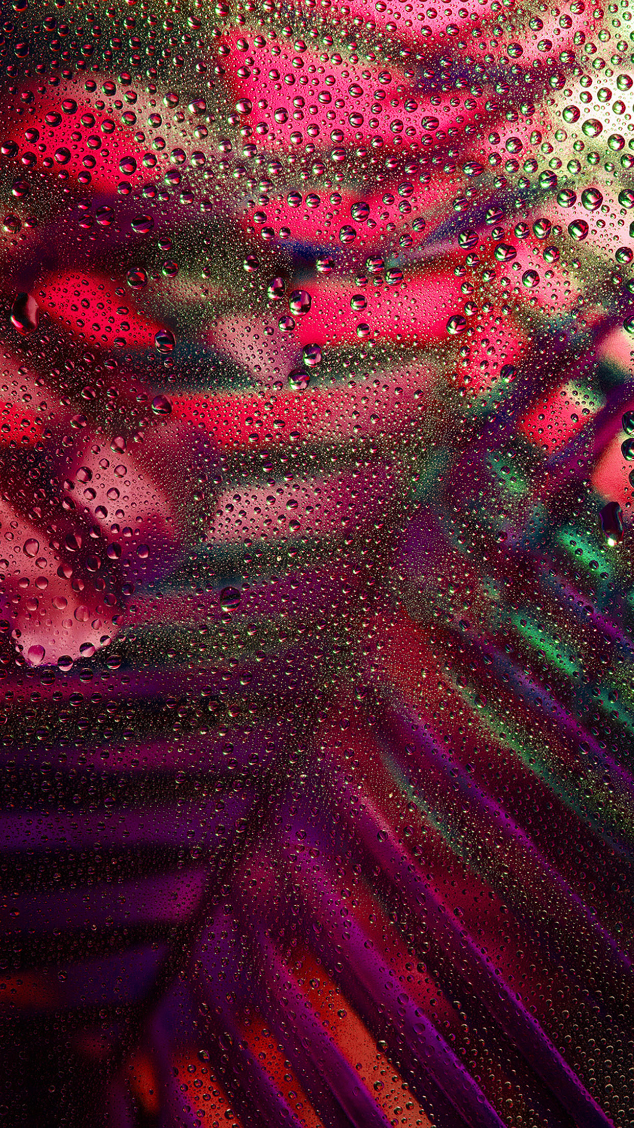 Art Rain Plant Flower Night Red