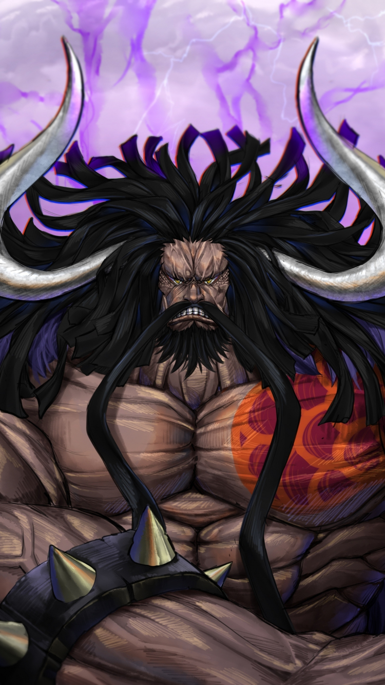 Download wallpaper 750x1334 kaido, one