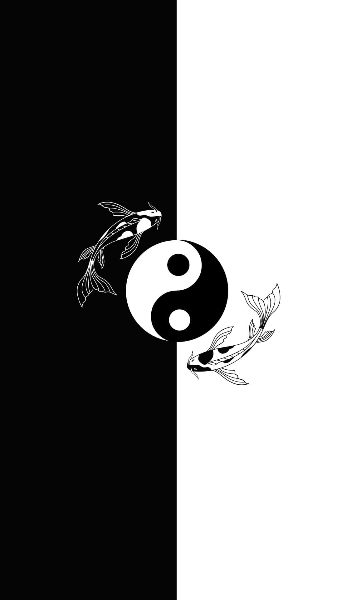 Download Yin Yang Fish Harmonizing Life