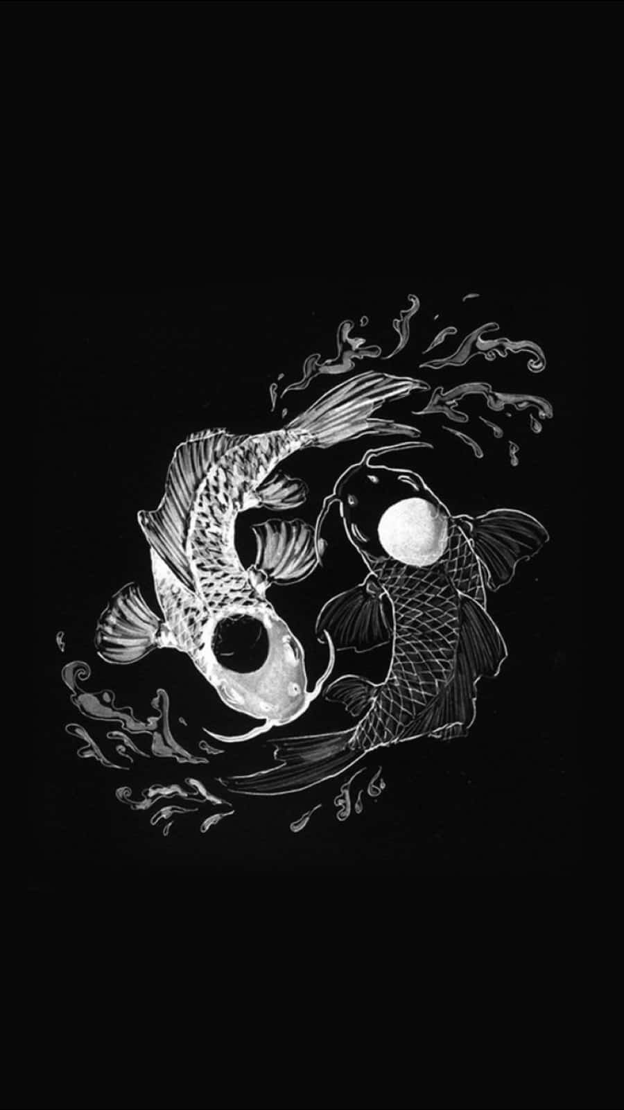 Download Captivating Yin Yang Fish