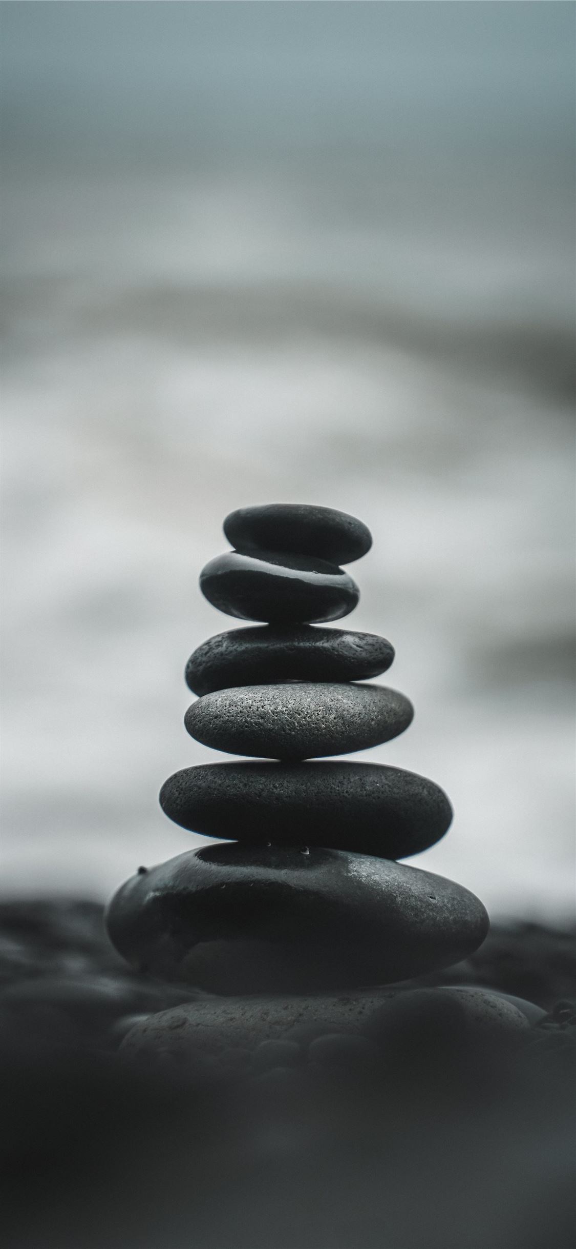 Stone Forest iPhone X Wallpaper Free