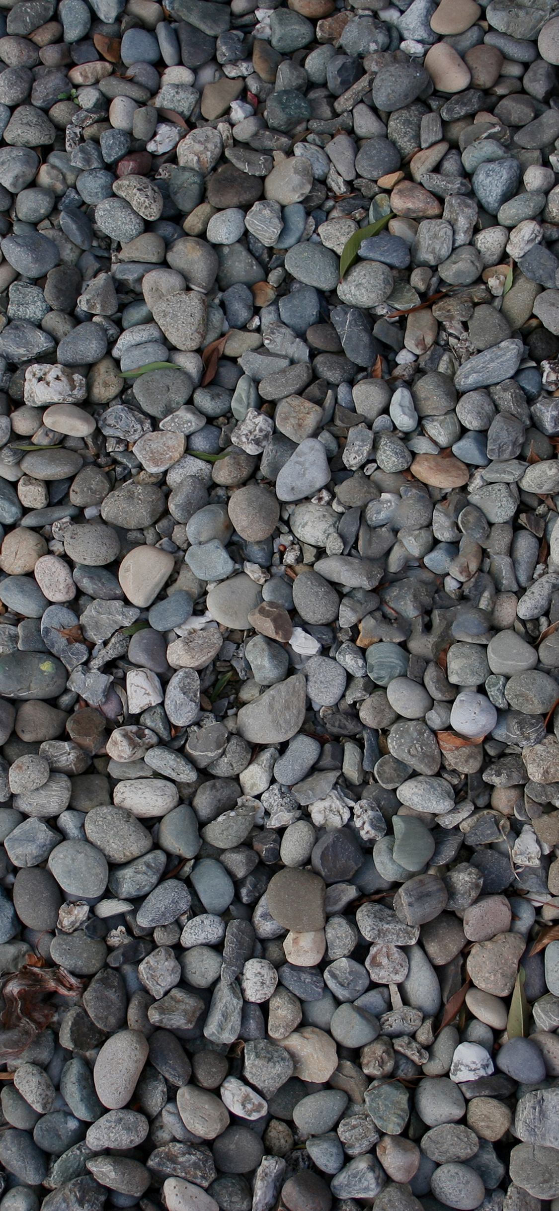 Stone Sea Nature Dark Pattern