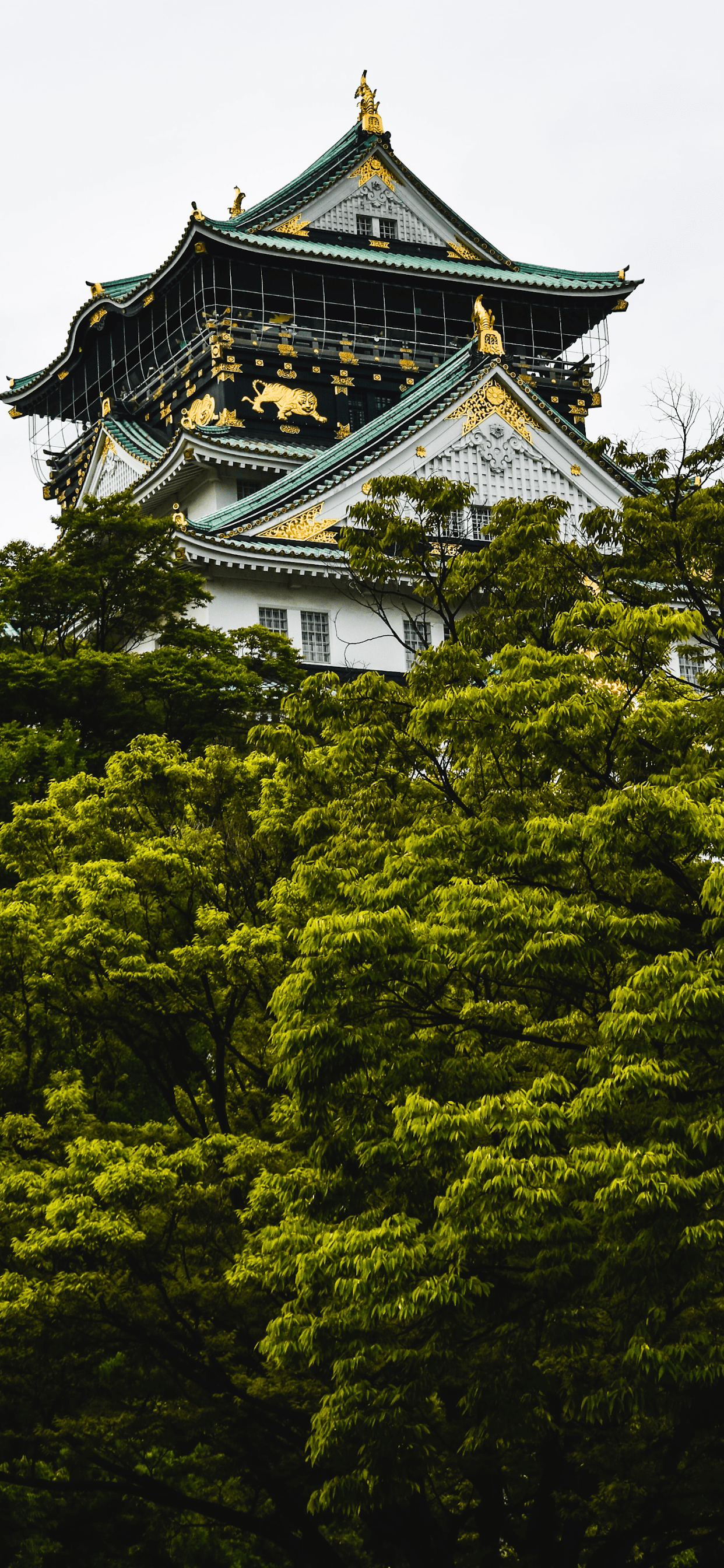 Temple Wallpaper for iPhone 11, Pro Max