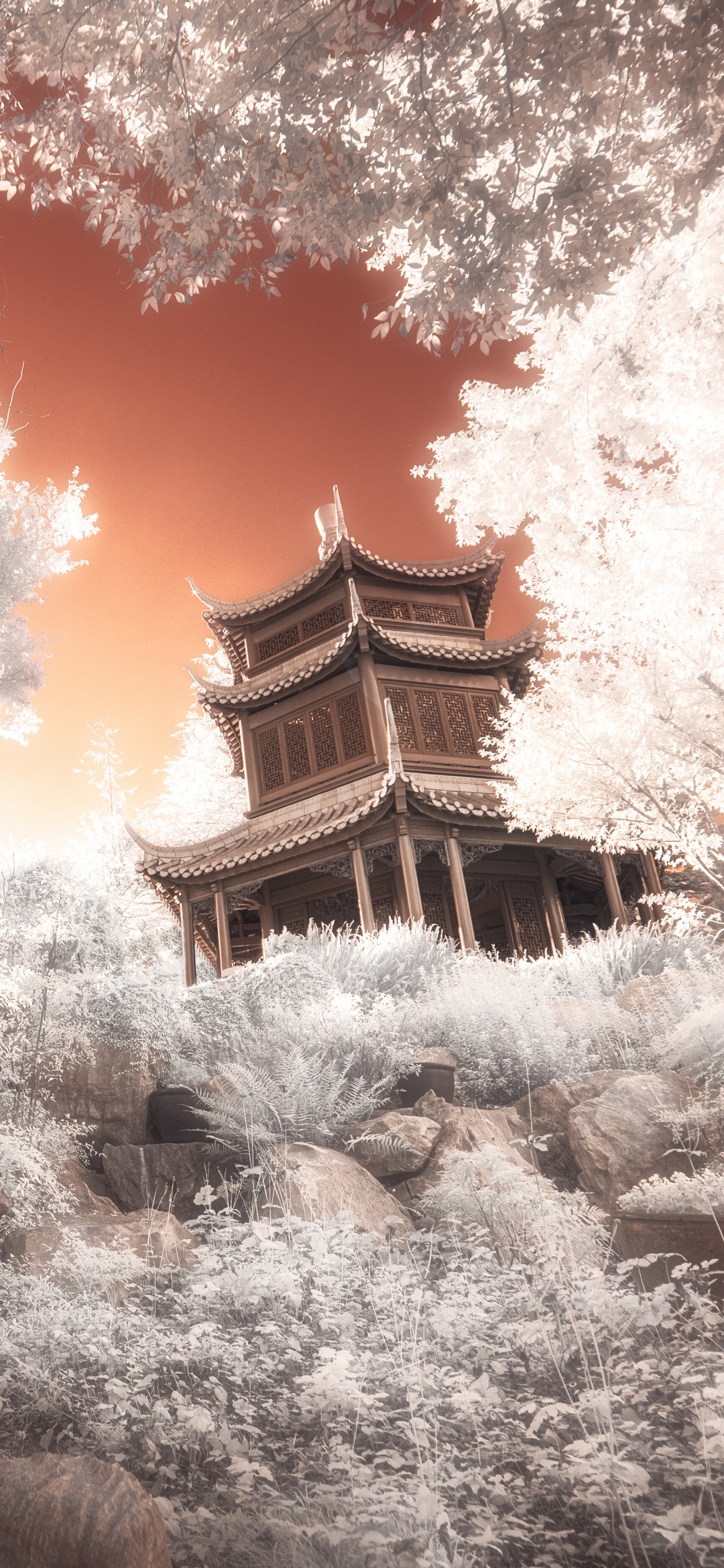Pagoda Wallpaper 4K, Temple, Ancient