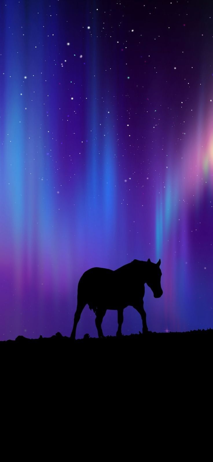 Horse Wallpaper