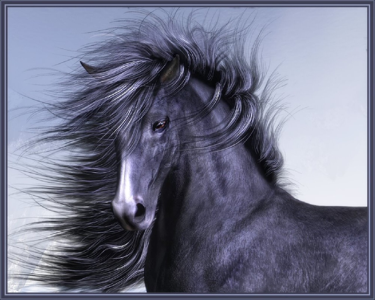 Desktop Wallpaper Horses Animals