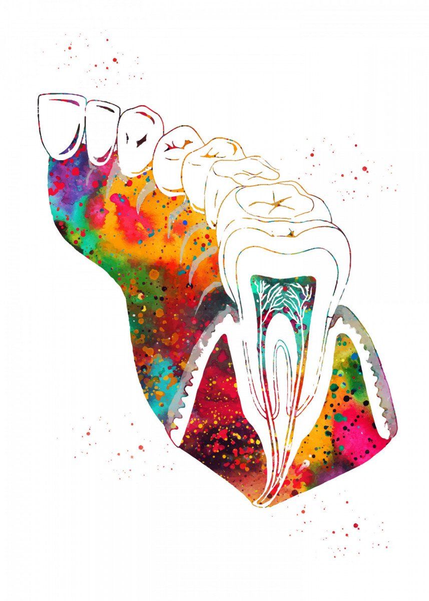 Molar Tooth Section' Poster, picture