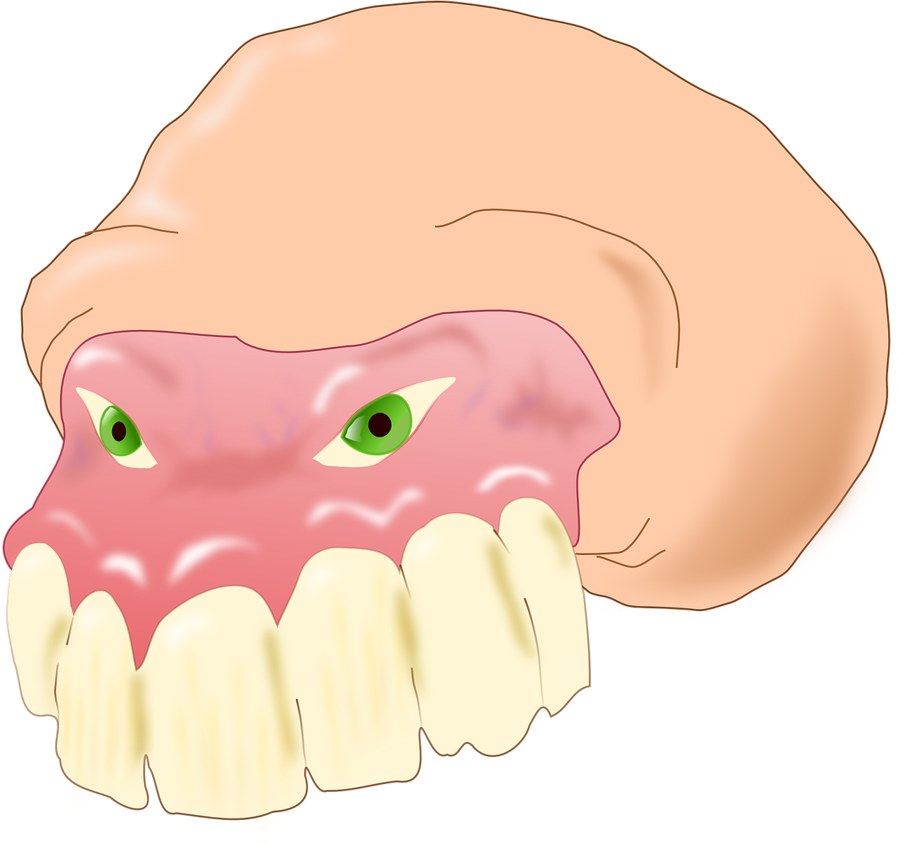 Download Animated Molar Toothwith Gums