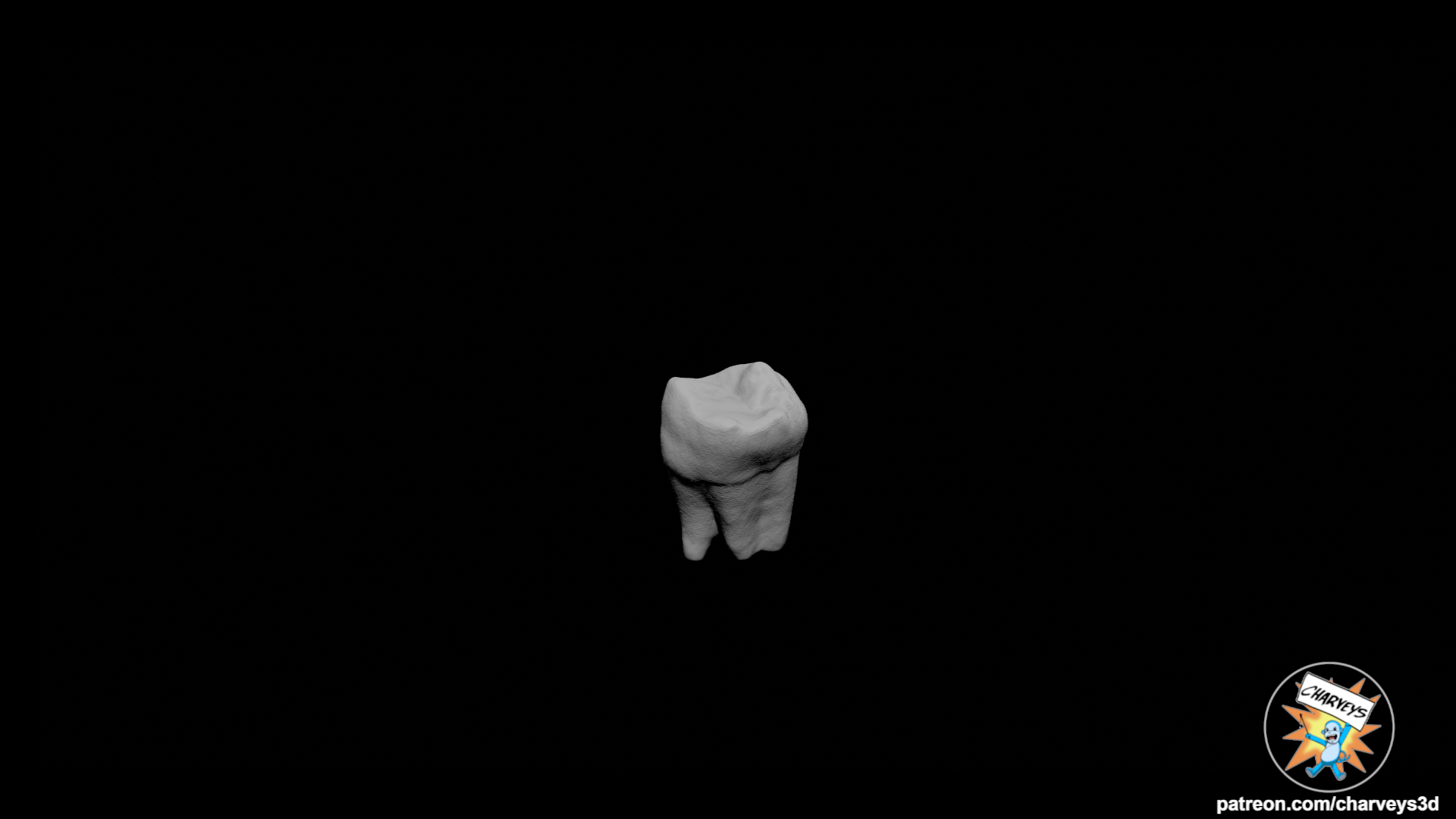Human Tooth Wisdom Tooth, Third Molar