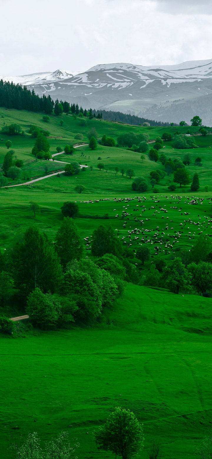 Green Hills Under A Cloudy Sky 4K Phone Wallpaper