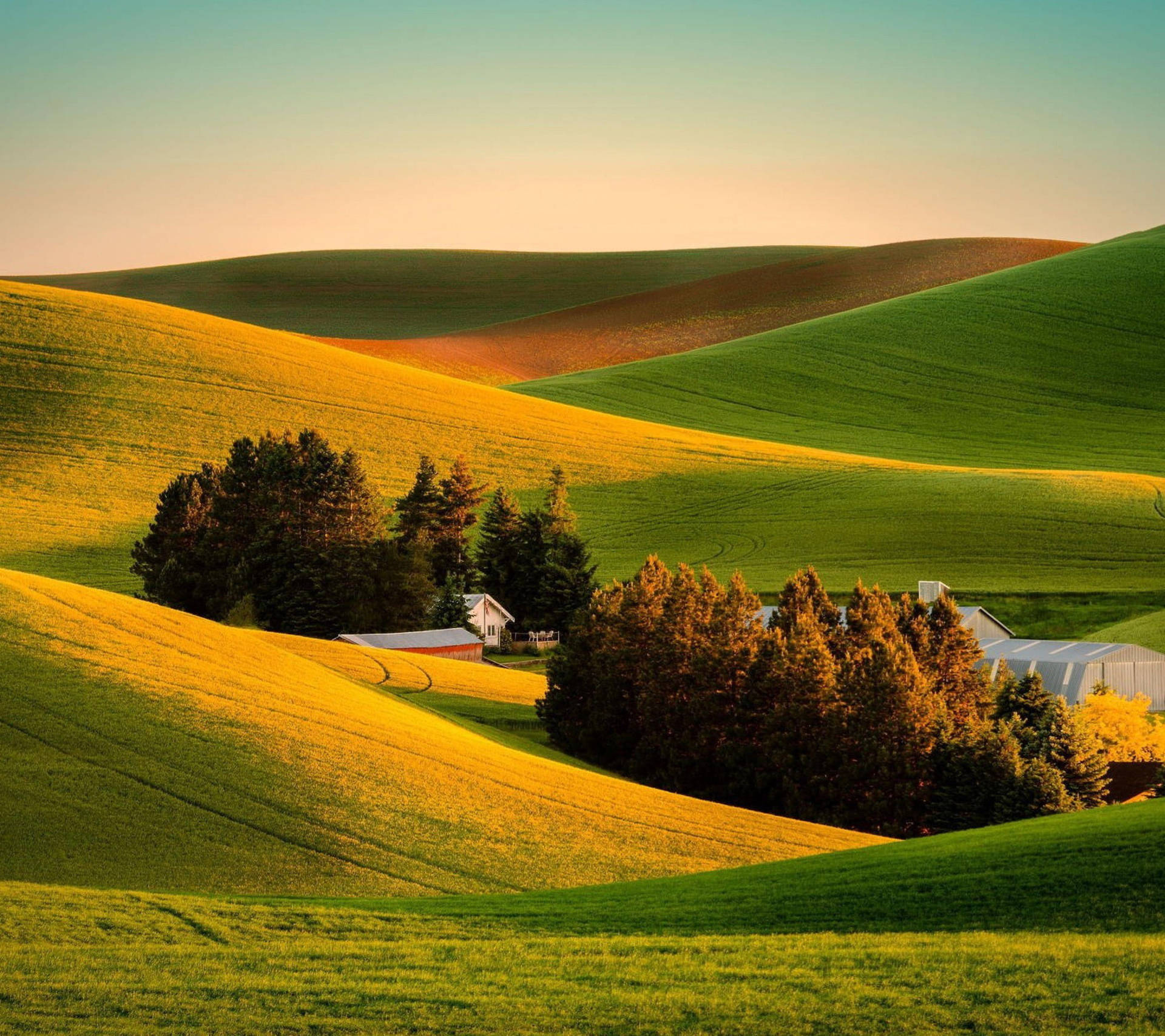 Free Green Hill HD Wallpaper