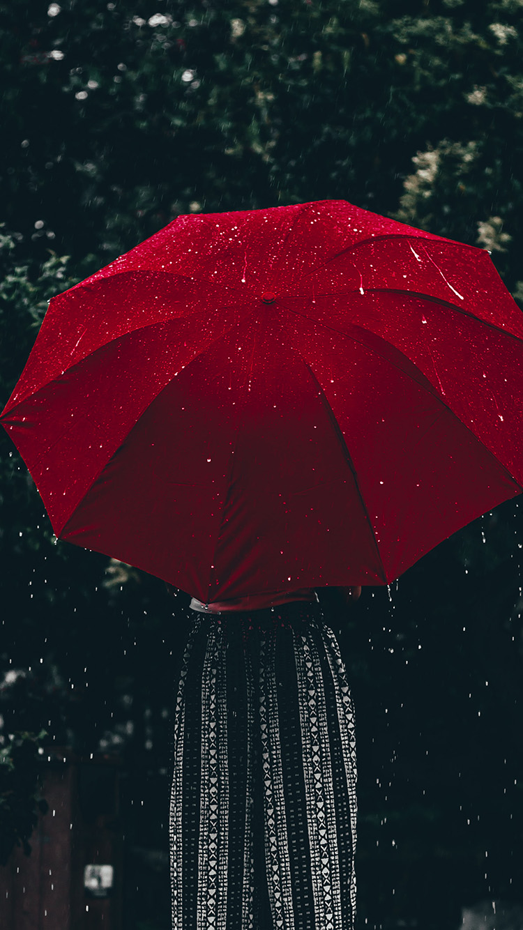 Nature Rain Umbrella Red