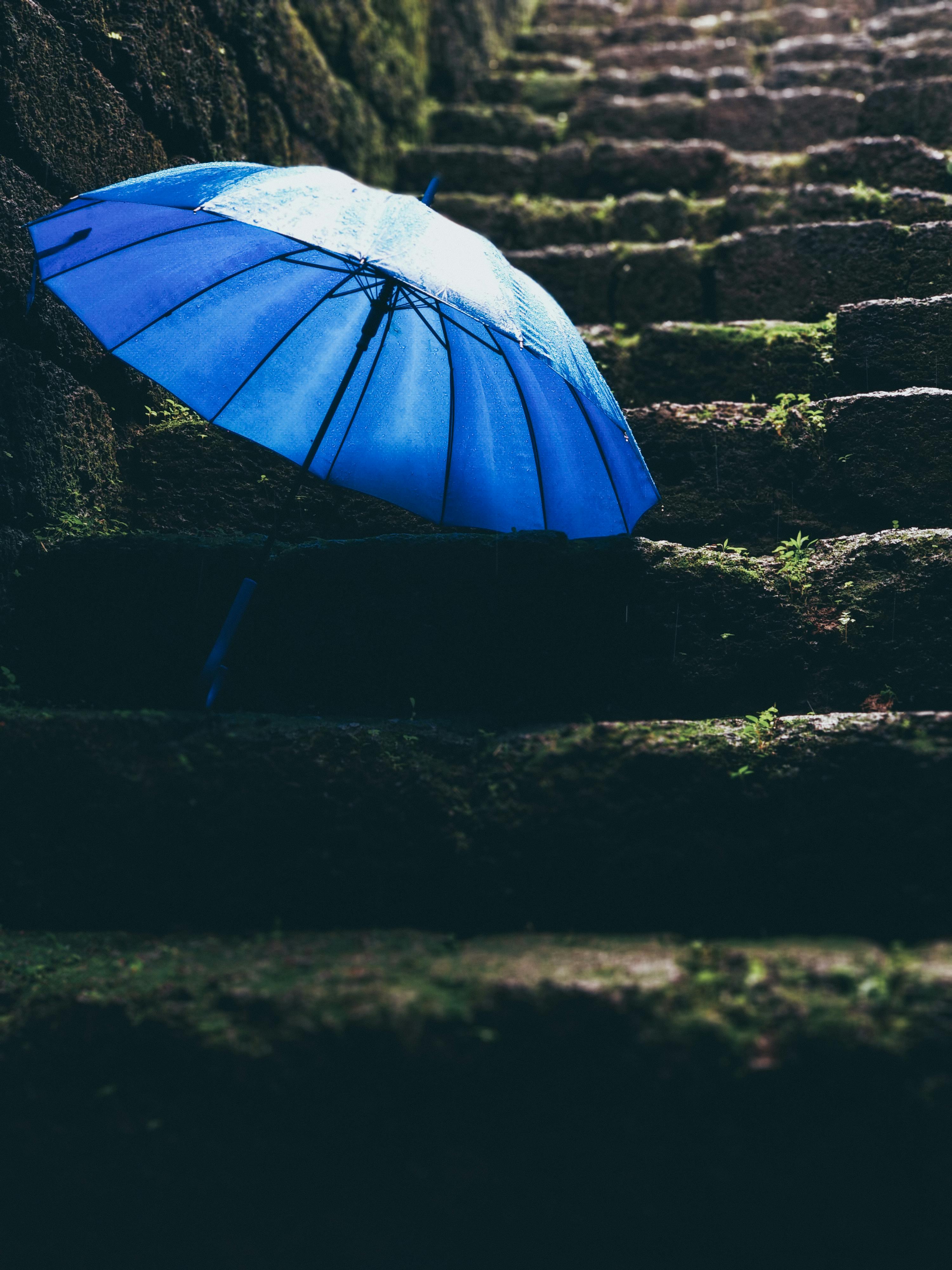 Umbrella Rain Photo, Download The BEST