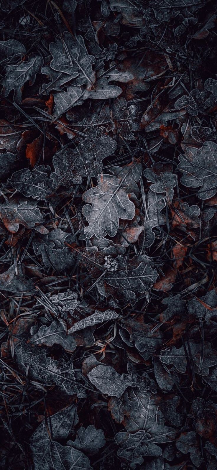 Grey wallpaper iphone