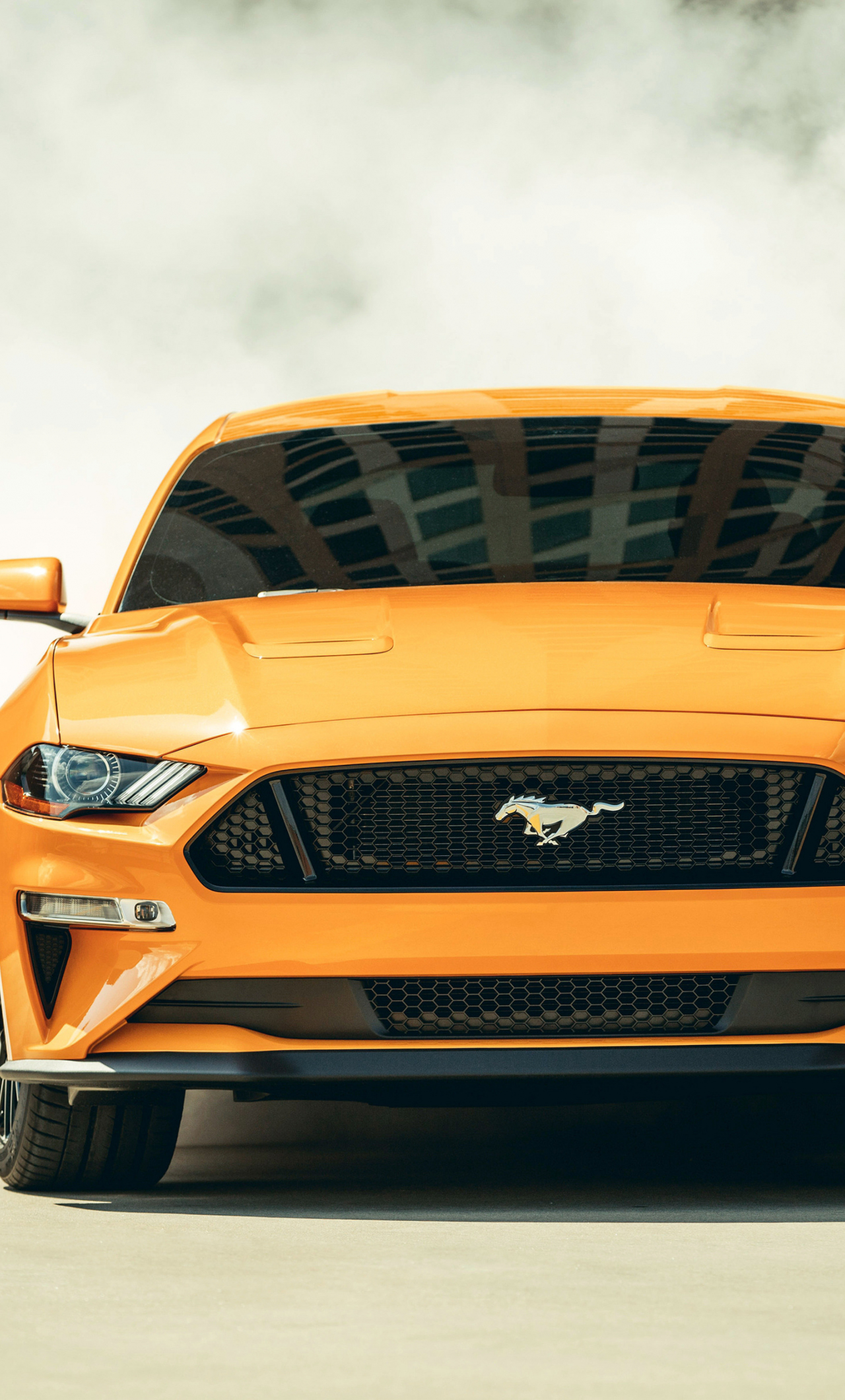 ford mustang fastback, sports car